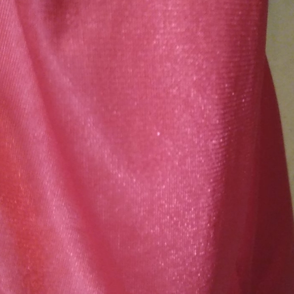 Teddy - Picture 6 of 8